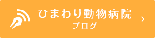 ひまわり動物病院ブログ